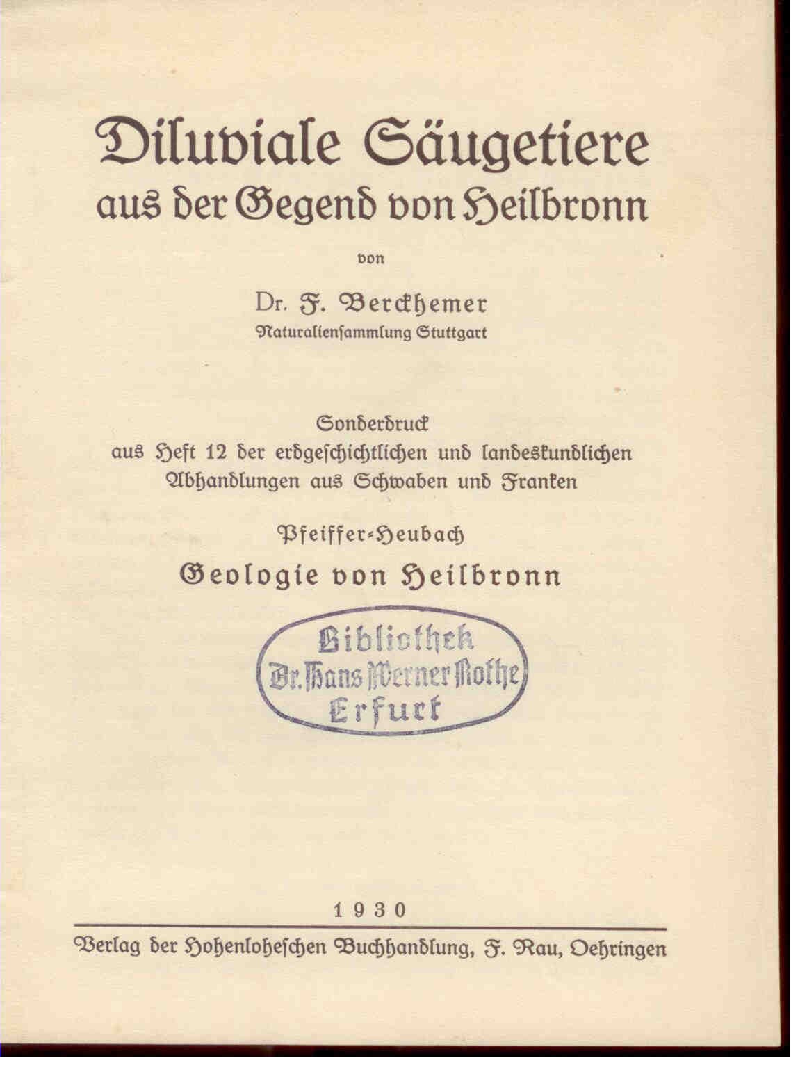 Berckhemer, Dr. F.: Diluviale Säugetiere aus der Gegend von Heilbronn