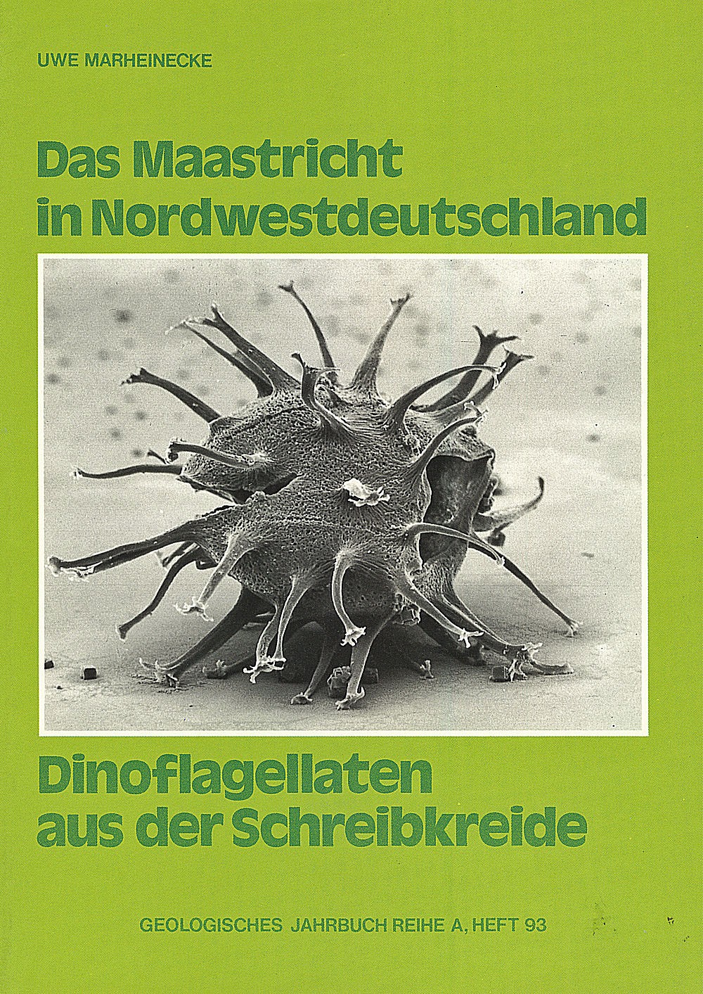 Marheinecke, U. : Die Maastricht-Stufe in NW-Deutschland, Teil 6.  Dinoflagellaten des Maastrichtium der Grube Hemmoor (Niedersachsen).