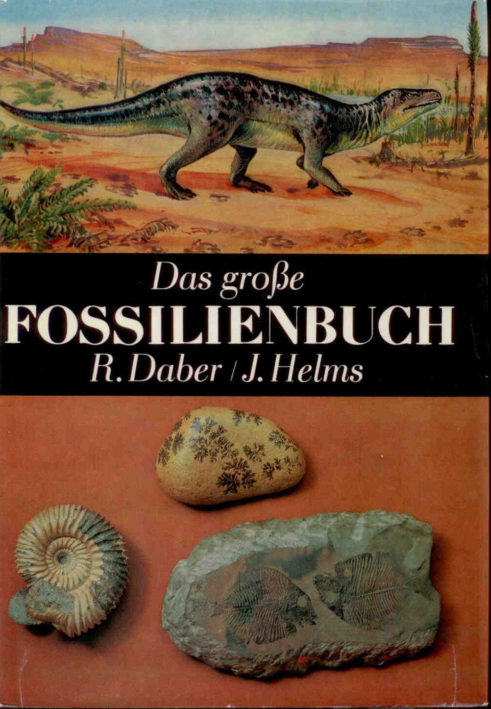 Daber, R.: Das große Fossilienbuch