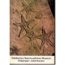 Bleich, K.: Städtisches Naturkundliches Museum Göppingen-Jebenhausen. Geologisch-paläontologische Sammlung Dr. Engel.