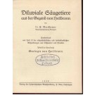 Berckhemer, Dr. F.: Diluviale Säugetiere aus der Gegend von Heilbronn