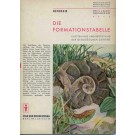 Weber, Dr. H.: Die Formationstabelle. Entstehung und Bedeutung der geologischen Zeittafel.