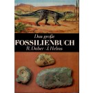 Daber, R.: Das große Fossilienbuch