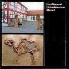 Höllwarth, M.: Fossilien und Heimatmuseum Messel