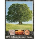Herm, D.: 400 Millionen Jahre Baum. 