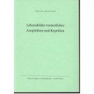 Kuhn, O.: Lebensbilder vorzeitlicher Amphinien und Reptilien.