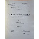 MAILLIEUX E.: Les Lamellibranches du Devonien inferieur de l'Ardenne.