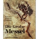 Christa B.: Die Grube Messel. Paläontologische Schatzkammer und unersetzliches Archiv für die Geschichte des Lebens