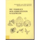 Rieder, E.: Die Fossilien der Gerolsteiner Kalkmulde.